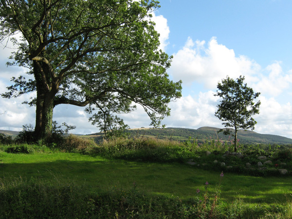 View of the cottage and grounds