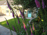 Glyn Cynwal Isaf Cottage
